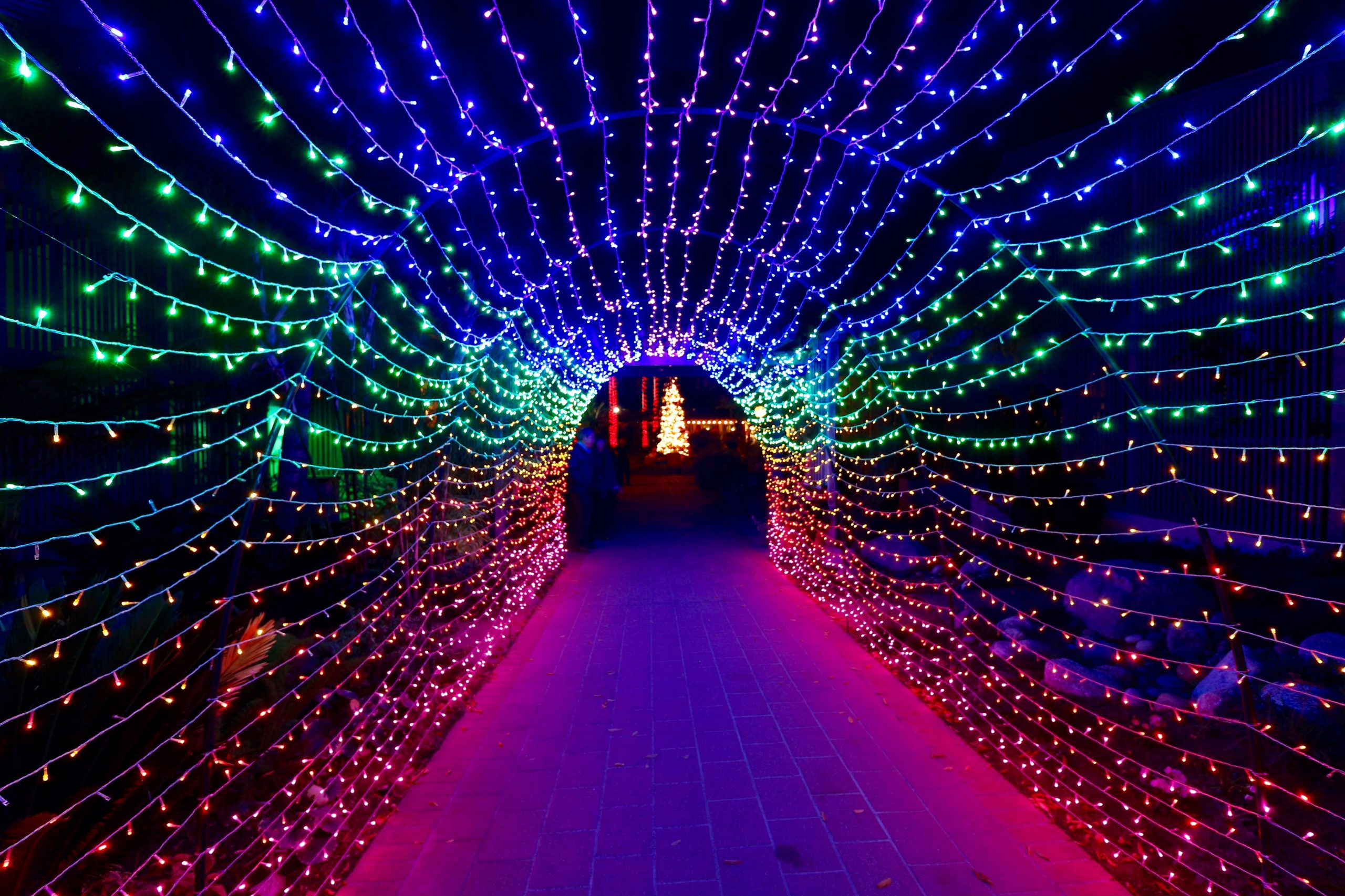 Sherman Library & Gardens Nights of a 1000 Lights